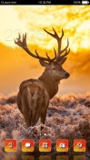 Deer CLauncher Android Mobile Phone Theme