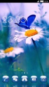 flower And Butterfly CLauncher LG KH5200 Andro-1 Theme