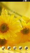 Yellow New Year CLauncher Android Mobile Phone Theme