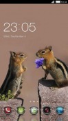 Love Of Squirrels CLauncher Android Mobile Phone Theme