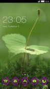 Green Plant CLauncher Android Mobile Phone Theme