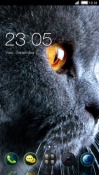Cat CLauncher Android Mobile Phone Theme