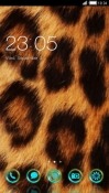 Leopard CLauncher Android Mobile Phone Theme