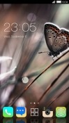 Butterfuly CLauncher Android Mobile Phone Theme