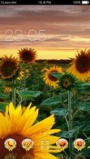 Sun Flowers CLauncher Android Mobile Phone Theme