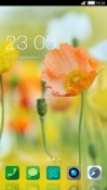 Orange Flower CLauncher Android Mobile Phone Theme