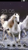 Horses CLauncher Android Mobile Phone Theme