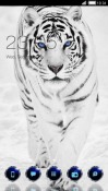 Snow Tiger CLauncher Android Mobile Phone Theme