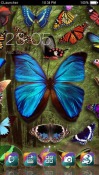 Butterfly CLauncher Android Mobile Phone Theme