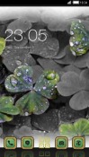 Wet Clovers CLauncher Android Mobile Phone Theme