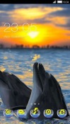 Dolphins CLauncher Android Mobile Phone Theme