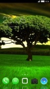 Green Tree CLauncher Android Mobile Phone Theme