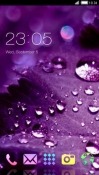 Purple Drops CLauncher Android Mobile Phone Theme