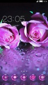 Violet Roses CLauncher Android Mobile Phone Theme