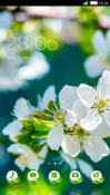 White Flower CLauncher Android Mobile Phone Theme