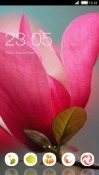 Pink Flower CLauncher Android Mobile Phone Theme