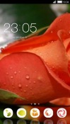 Rose CLauncher Android Mobile Phone Theme