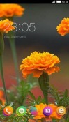 Flowers CLauncher Android Mobile Phone Theme