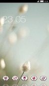 White Flowers CLauncher Android Mobile Phone Theme