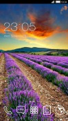 Field CLauncher Android Mobile Phone Theme