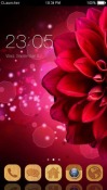 Red Flower CLauncher Android Mobile Phone Theme