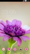 Flower CLauncher Android Mobile Phone Theme