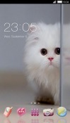 Kitten CLauncher Android Mobile Phone Theme