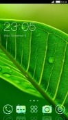 Green Leaf CLauncher Android Mobile Phone Theme