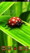 Ladybug CLauncher Android Mobile Phone Theme