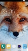 Fox CLauncher Android Mobile Phone Theme