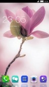Pink Flower CLauncher Android Mobile Phone Theme