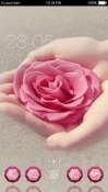 Rose CLauncher Android Mobile Phone Theme