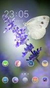 Butterfly CLauncher Android Mobile Phone Theme