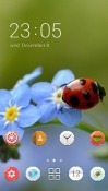 Ladybug CLauncher Samsung Galaxy Rush M830 Theme