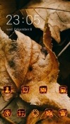 Autumn Leaf CLauncher Android Mobile Phone Theme