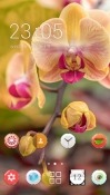 Orchid Flowers CLauncher Samsung Galaxy Rush M830 Theme