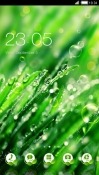 Dew Drops CLauncher Android Mobile Phone Theme