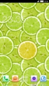 Lime CLauncher Android Mobile Phone Theme