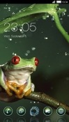 Frog CLauncher Android Mobile Phone Theme