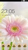 White Flower CLauncher Android Mobile Phone Theme