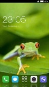 Frog CLauncher Samsung Galaxy Rush M830 Theme