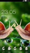 Snails CLauncher Android Mobile Phone Theme