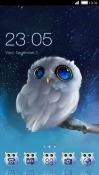 Cute Owl CLauncher Android Mobile Phone Theme