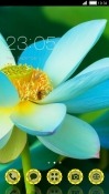 Blue Flower CLauncher Android Mobile Phone Theme