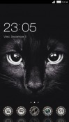 Black Cat CLauncher LG Optimus G Pro Theme