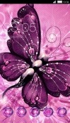 Purple Butterfly CLauncher Android Mobile Phone Theme