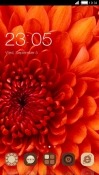Red Flower CLauncher Android Mobile Phone Theme