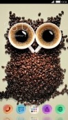 Coffee Beans Owl CLauncher Android Mobile Phone Theme