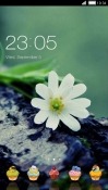 White Flower CLauncher Coolpad Note 3 Theme
