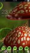 Mushrooms CLauncher Android Mobile Phone Theme